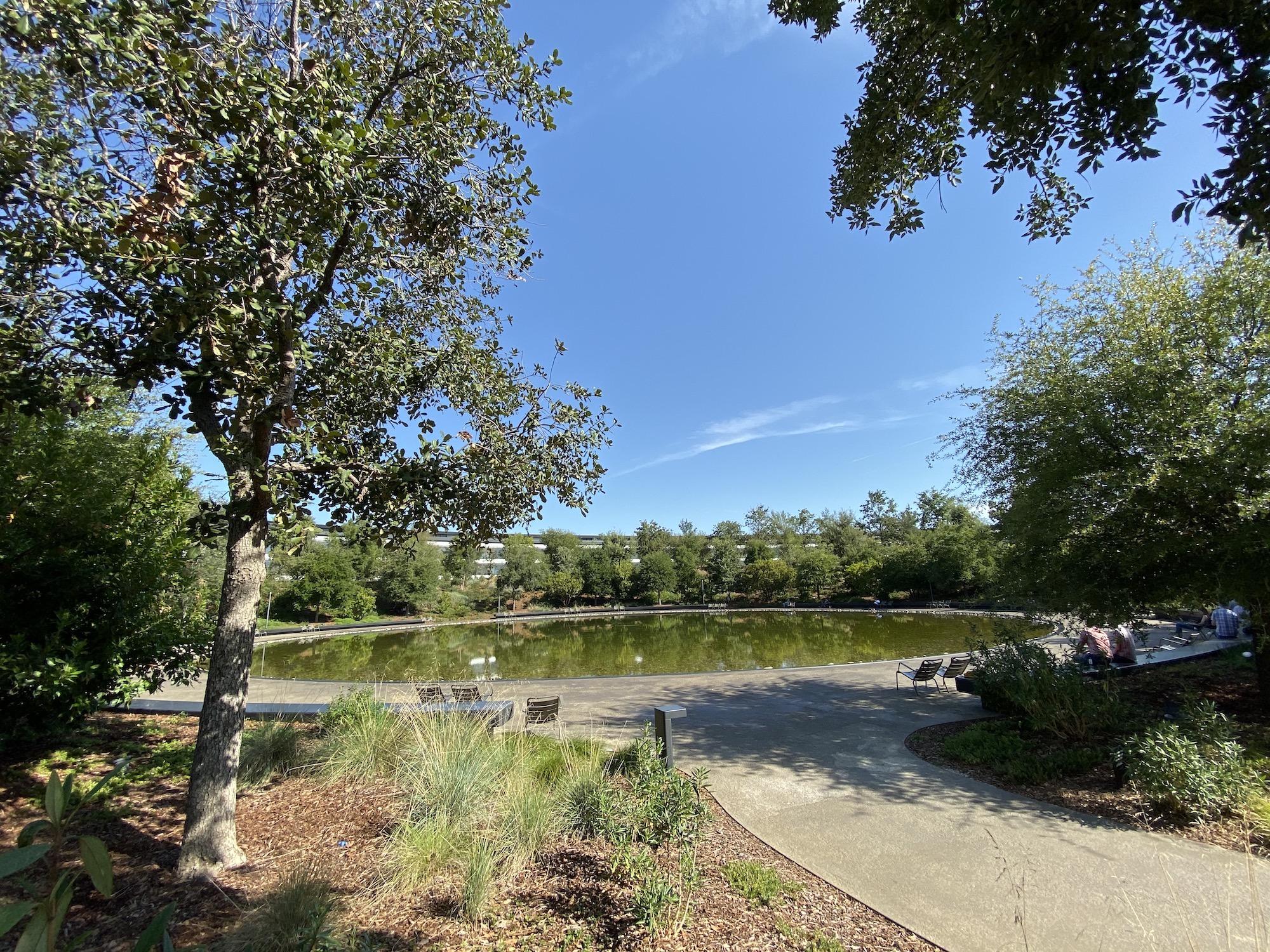 The Pond at Apple Park